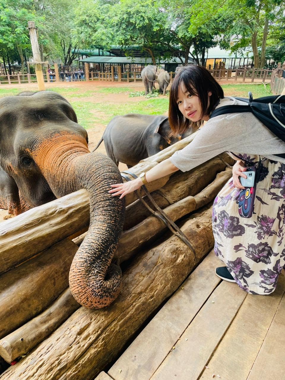 心と心がほどけた、ヌワラエリヤ＆象の孤児院を巡る、ひとりスリランカ旅【お客様の声】